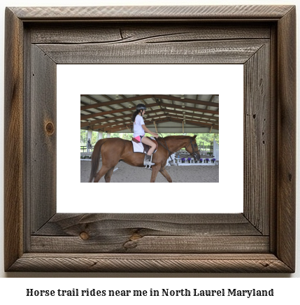 horse trail rides near me in North Laurel, Maryland